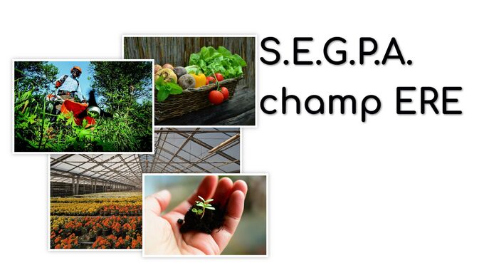 SEGPAchampERE-1.jpg